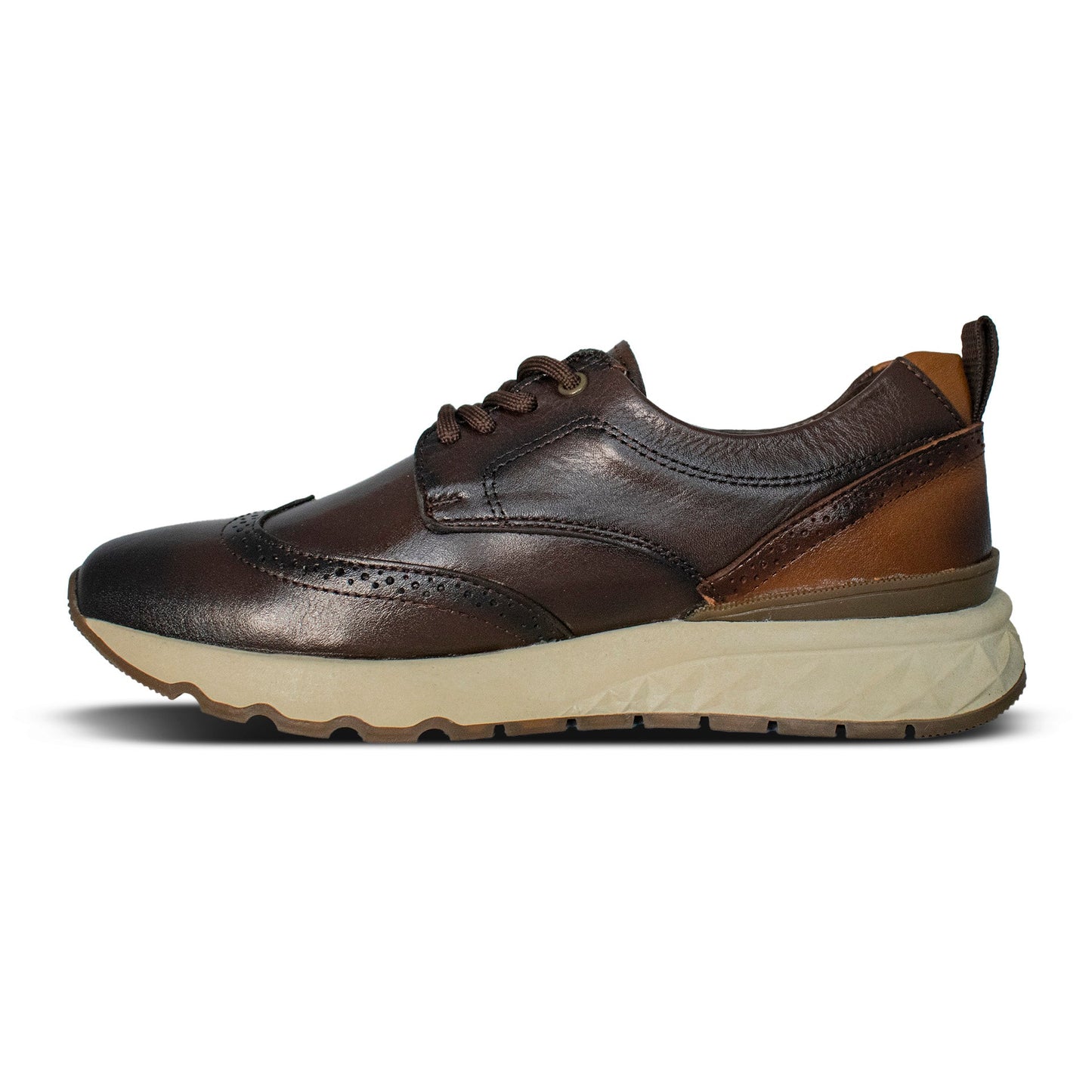 Sneakers Carlo Brogue Café 2987