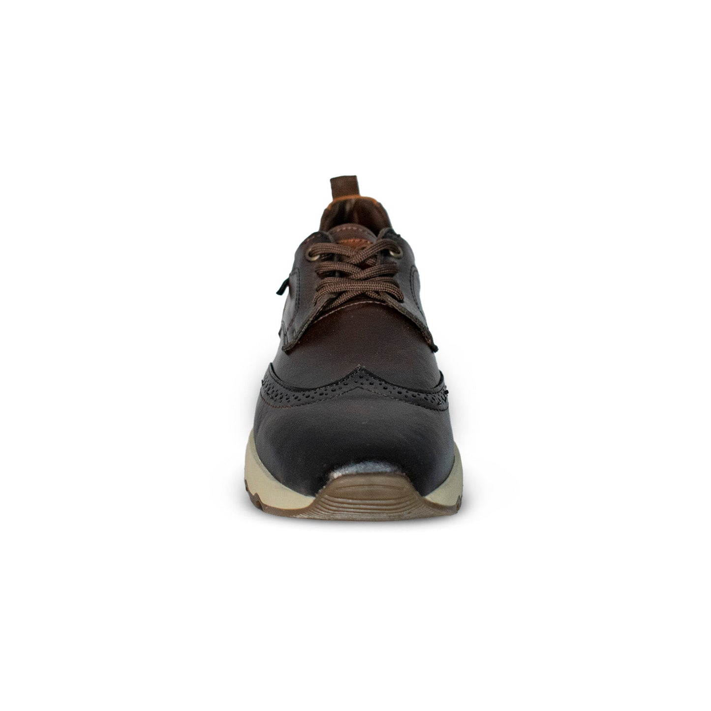 Sneakers Carlo Brogue Café 2987